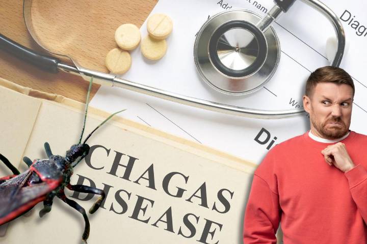 CDC Alert Kissing Bugs Found in Indiana