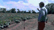 Area pumpkin patches persist against perilous precipitation