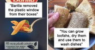 45 ‘Zero Waste’ Tips And Tricks For Anyone Who Cares About The Environment, As Shared On This Online Group