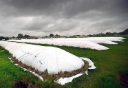 En medio del temblor cambiario, el sector agroexportador guarda en silobolsas u$s 9.600 millones