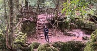 'Enchanting' fairytale UK forest is like 'stepping into Lord of the Rings'