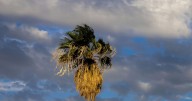 SLRC tendrá calor extremo y posibles tormentas el fin de semana