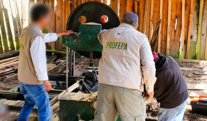 Desmantelan 3 aserraderos ilegales durante operativos en Bosque de Agua
