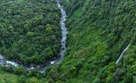 Latin America Is Deadliest Region For Environmental Activists