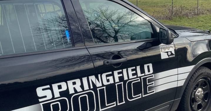 Lane DA says Springfield officer was ‘justified’ in fatal shooting of man who stabbed two officers