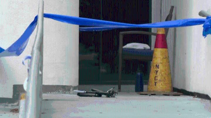 Woman, 95, charged with murder for fatal beating of nursing home resident: NYPD