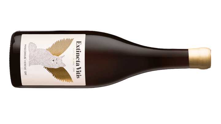 El vino de la semana: Extincta Vitis Sumoll Blanc 2020 de Heretat Mascorrubí