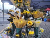 ¡Ya llega la primavera! Cuánto cuestan las flores en la tradicional esquina de la Urquiza