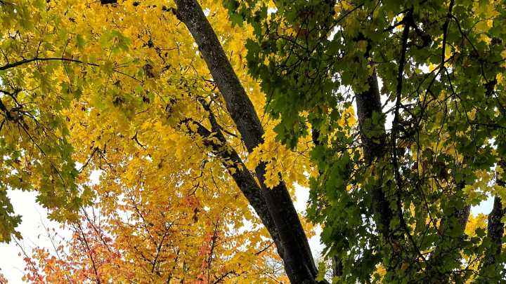 What to expect from the weather this fall