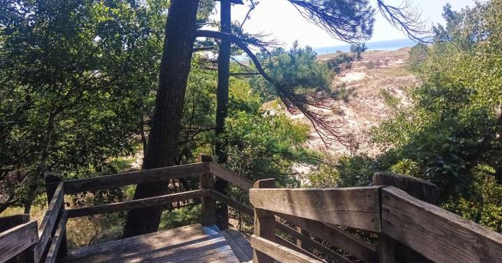 Friends of Ludington State Park exceed goal for Skyline Trail fundraiser