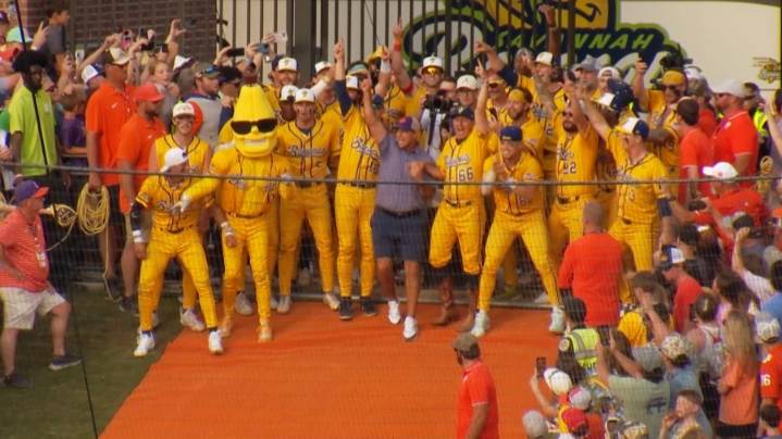 Savannah Bananas to return to Clemson