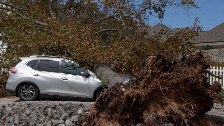 South Carolina man carves 'storm bowls' out of trees brought down by Helene