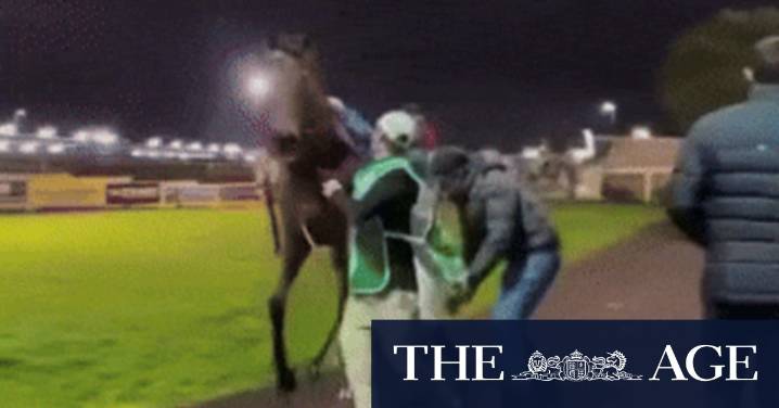 Horse headbutts jockey: Micheal Hellyer incredibly lucky after Toowoomba incident