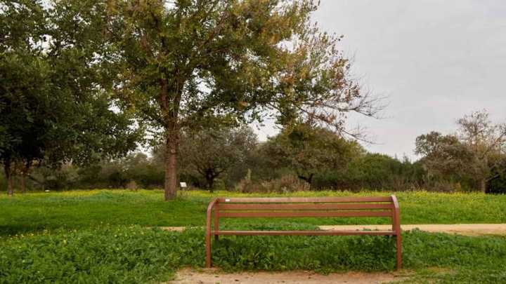 El rincón secreto de Sevilla perfecto para pasear entre la naturaleza en las tardes de otoño