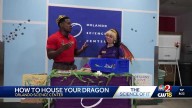 The Science Of It: How to Train Your Dragon