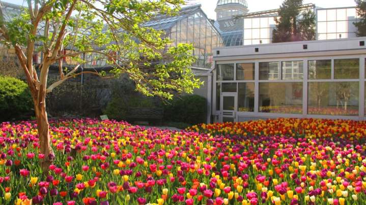 Franklin Park Conservatory celebrates history, unveils future plans with new exhibit