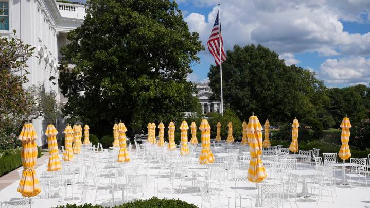 Trump will host top tech CEOs at a White House dinner. Musk won't be there