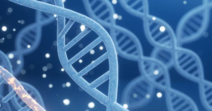 A Guide To Genetic Testing for Breast Cancer