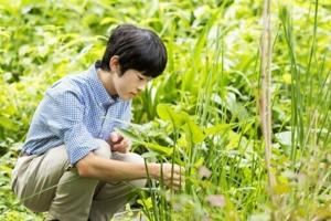 Japan prince comes of age as succession crisis looms