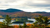 Maine’s drought is causing trees to lose leaves before foliage season