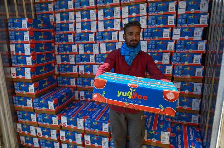 1.3 Lakh MT Fruit Transported From Kashmir Valley in 10 Days