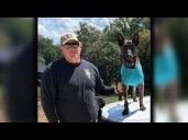 K-9 recovering after being stabbed multiple times in York County