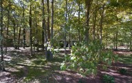 What $600,000 can buy you in Burlington County, Sept. 15 to 21