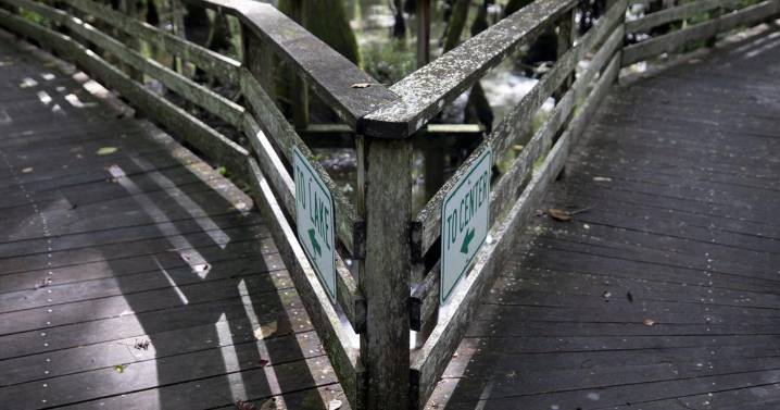 Beidler Forest gets pact on Santee Cooper transmission line