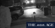 St John Park home invasion: Residents gagged and zip