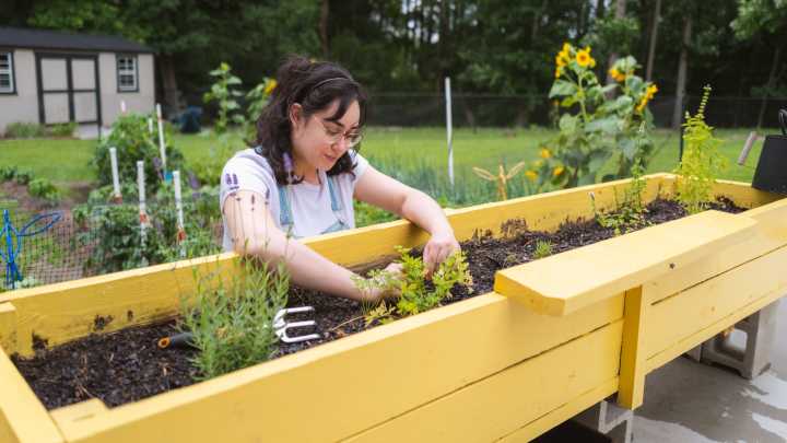 How Often You Should Replenish Soil In Raised Garden Beds For Vegetables