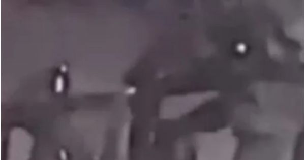 Encontró a su novio policía con otro y teminó en desastre: así lo agarró