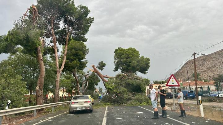El temporal se centra en Alicante: las lluvias en La Marina Baixa y Alta y un "reventón húmedo" en la Vega Baja causa destrozos en Cox, Redován y Callosa de Segura