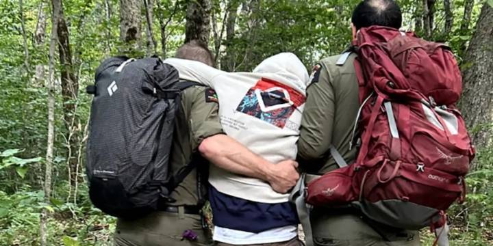 Consumieron hongos alucinógenos y se perdieron en el bosque: a uno lo encontraron en posición fetal mientras el otro fantaseaba con un puente inexistente