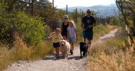 Nonprofit holds contest to showcase dogs in the Montana outdoors