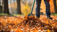 Dry weather expected to speed up Missouri's fall foliage