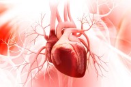Así es el diagnóstico precoz en 12 latidos para patologías cardiovasculares