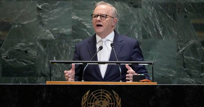 World 'cannot expect' US to lead, Albanese says in UN speech
