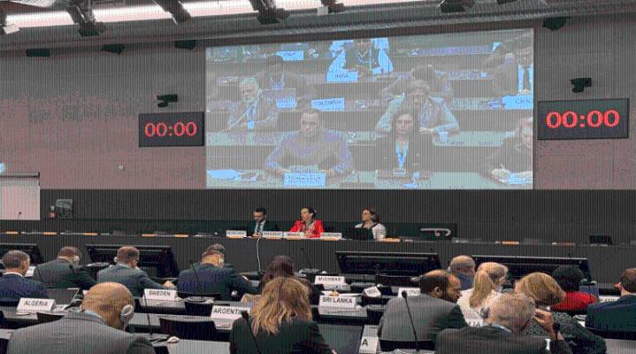 Venezuela denuncia en Conferencia de Desarme despliegue militar de EE. UU.