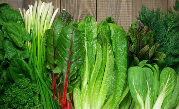 Chau a la lechuga: 4 hojas verdes que son superiores y aportan más nutrientes
