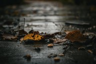 Wyoming Welcomes Rainy Days for the Rest of the Week