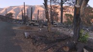 Rowena Fire survivor faces long road to rebuilding