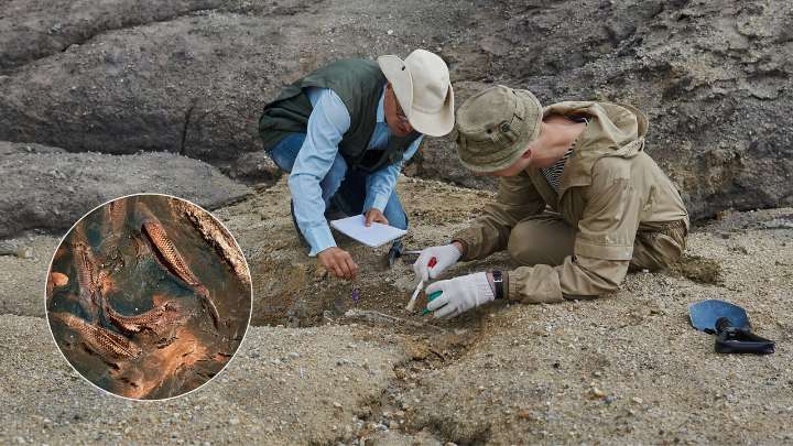 Descubren en Latinoamérica un fósil de dinosaurio que escondía dentro algo curioso para la ciencia