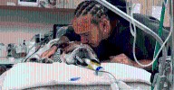 Piloto de Fórmula 1 Lewis Hamilton vive duro momento por salud de su perrito Roscoe: "Estoy a su lado"