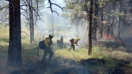 A firefighter dies after a cardiac emergency in the line of duty at the Grand Canyon