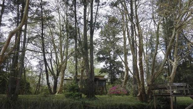 La utopía de un mundo sereno