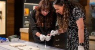 Centuries-old artifacts found for sale at B.C. thrift store