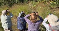 Looking for feathered friends: Port COA tours birding hot spot off Duffy Drive