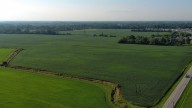 Google withdraws controversial data center in Franklin Township