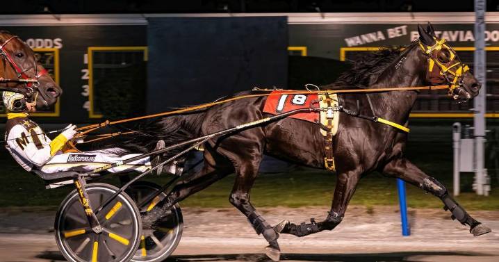 Morrill was magnificent scoring seven wins at Batavia Downs