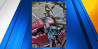 Man sentenced to 20 years in prison after carjackings, shootout with Portland officers